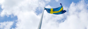 Sveriges Nationaldag, Nationaldagen